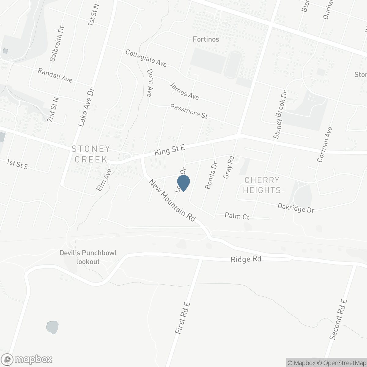21 LOMA Drive, Hamilton, Ontario L8G 2W6